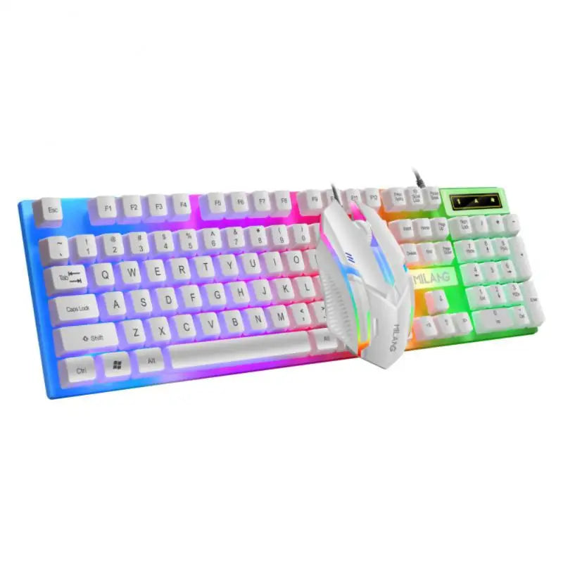 Rainbow Backlit Wired Keyboard and Mouse,Floating Keycap